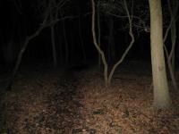Chicago Ghost Hunters Group investigates Robinson Woods (224).JPG